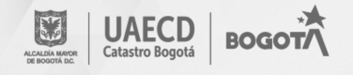 28_Departamento Administrativo de Catastro Distrital de Bogotá DACD